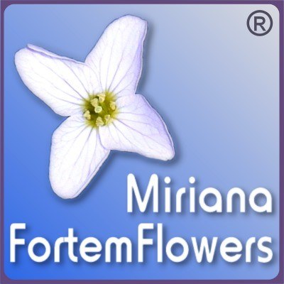 logo_miriana-fortem-flowers_mr_400.jpg
