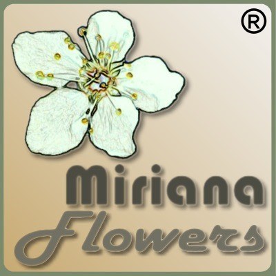 logo_mirianaflowers_mr_400.jpg
